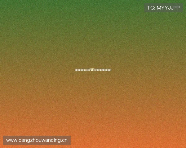 黑土地篮球传奇 逐梦NBA的年轻力量与拼搏精神